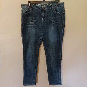 Size 16 Curvy Skinny Jeans